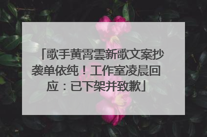 歌手黄霄雲新歌文案抄袭单依纯！工作室凌晨回应：已下架并致歉