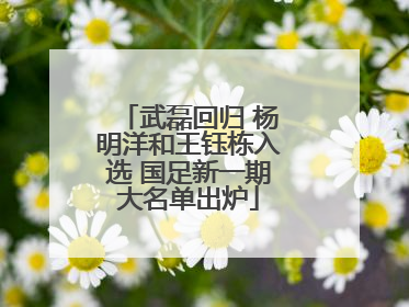 武磊回归 杨明洋和王钰栋入选 国足新一期大名单出炉