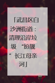 武昌区白沙洲街道：清理沿岸垃圾 “扮靓”长江母亲河