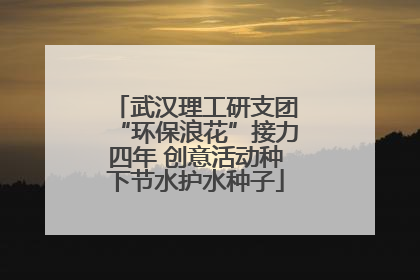 武汉理工研支团“环保浪花”接力四年 创意活动种下节水护水种子
