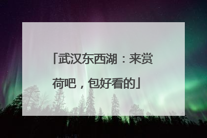 武汉东西湖：来赏荷吧，包好看的