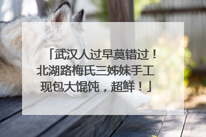 武汉人过早莫错过！北湖路梅氏三姊妹手工现包大馄饨，超鲜！