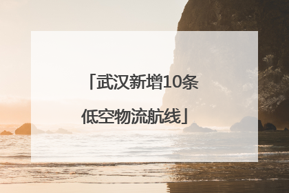 武汉新增10条低空物流航线