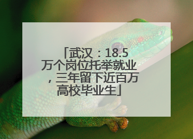 武汉：18.5万个岗位托举就业，三年留下近百万高校毕业生