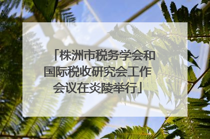 株洲市税务学会和国际税收研究会工作会议在炎陵举行