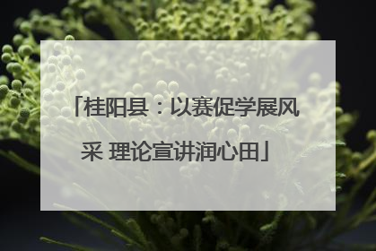 桂阳县：以赛促学展风采 理论宣讲润心田