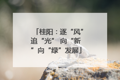桂阳：逐“风”追“光” 向“新”向“绿”发展
