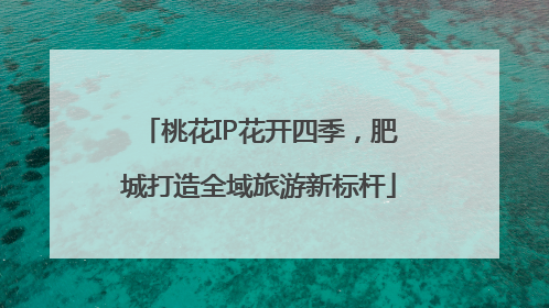 桃花IP花开四季，肥城打造全域旅游新标杆