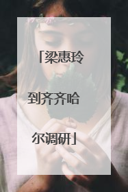 梁惠玲到齐齐哈尔调研