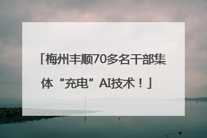 梅州丰顺70多名干部集体“充电”AI技术！