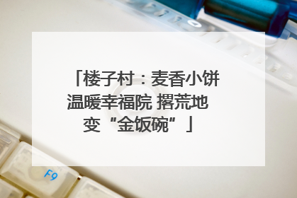 楼子村：麦香小饼温暖幸福院 撂荒地变“金饭碗”