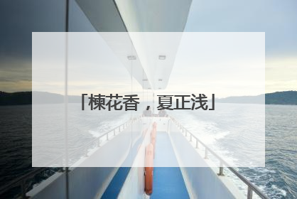 楝花香，夏正浅