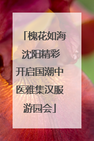 槐花如海 沈阳精彩开启国潮中医雅集汉服游园会