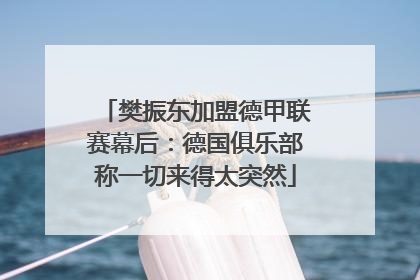 樊振东加盟德甲联赛幕后：德国俱乐部称一切来得太突然