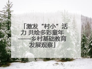 激发“村小”活力 共绘多彩童年——乡村基础教育发展观察