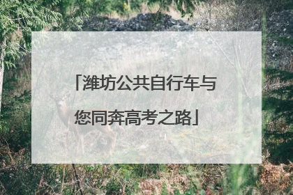 潍坊公共自行车与您同奔高考之路