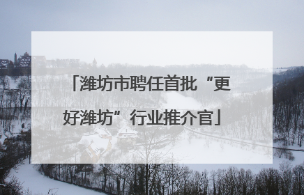 潍坊市聘任首批“更好潍坊”行业推介官