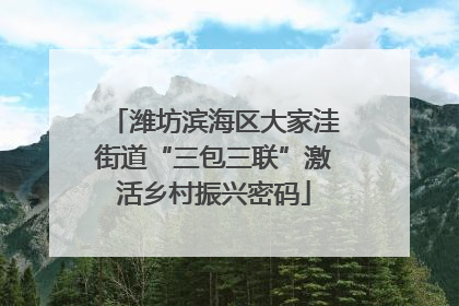 潍坊滨海区大家洼街道“三包三联”激活乡村振兴密码