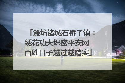潍坊诸城石桥子镇：绣花功夫织密平安网 百姓日子越过越踏实