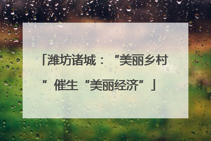 潍坊诸城：“美丽乡村”催生“美丽经济”