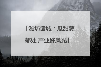 潍坊诸城：瓜甜葱郁处 产业好风光