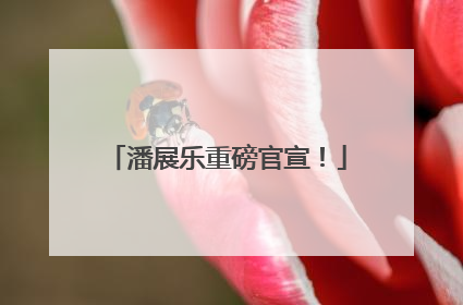 潘展乐重磅官宣！