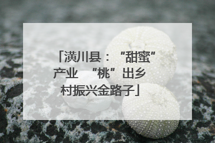 潢川县：“甜蜜”产业  “桃”出乡村振兴金路子