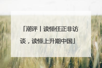 潮评丨读懂任正非访谈，读懂上升期中国