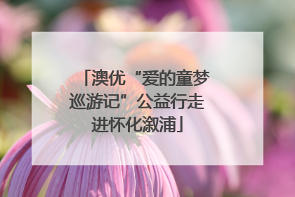 澳优“爱的童梦巡游记”公益行走进怀化溆浦