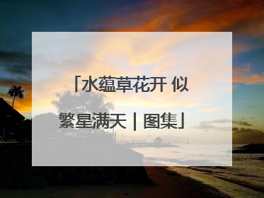 水蕴草花开 似繁星满天｜图集