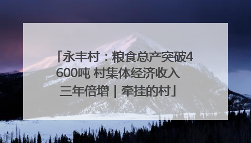 永丰村：粮食总产突破4600吨 村集体经济收入三年倍增｜牵挂的村
