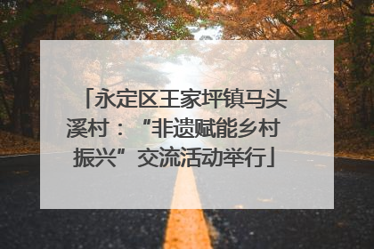 永定区王家坪镇马头溪村：“非遗赋能乡村振兴”交流活动举行