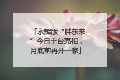 永辉版“胖东来”今日丰台亮相，月底前再开一家