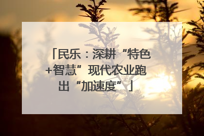 民乐：深耕“特色+智慧”现代农业跑出“加速度”
