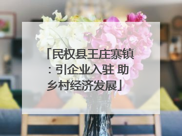 民权县王庄寨镇：引企业入驻 助乡村经济发展