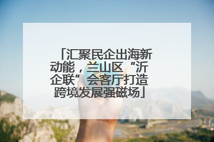 汇聚民企出海新动能，兰山区“沂企联”会客厅打造跨境发展强磁场