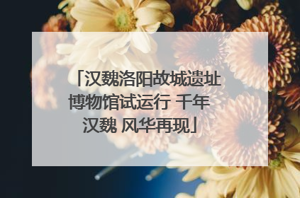 汉魏洛阳故城遗址博物馆试运行 千年汉魏 风华再现