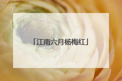 江南六月杨梅红