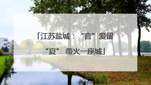 江苏盐城：“音”爱留“夏” 带火一座城