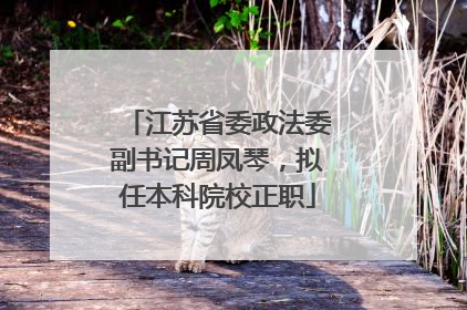 江苏省委政法委副书记周凤琴，拟任本科院校正职