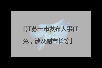 江苏一市发布人事任免，涉及副市长等