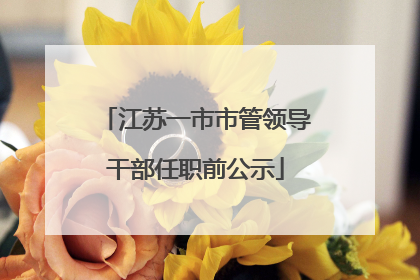 江苏一市市管领导干部任职前公示