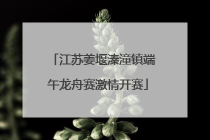 江苏姜堰溱潼镇端午龙舟赛激情开赛