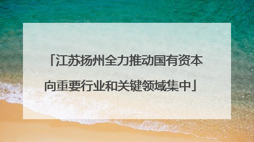 江苏扬州全力推动国有资本向重要行业和关键领域集中