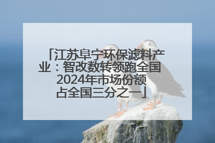 江苏阜宁环保滤料产业：智改数转领跑全国 2024年市场份额占全国三分之一