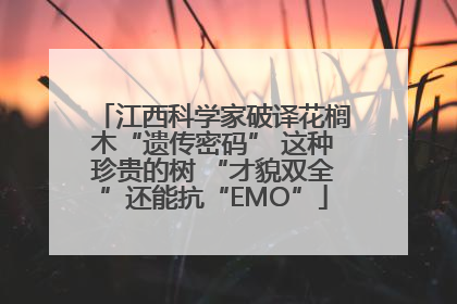 江西科学家破译花榈木“遗传密码” 这种珍贵的树 “才貌双全”还能抗“EMO”