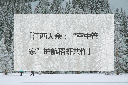 江西大余：“空中管家”护航稻虾共作