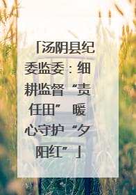 汤阴县纪委监委：细耕监督“责任田” 暖心守护“夕阳红”