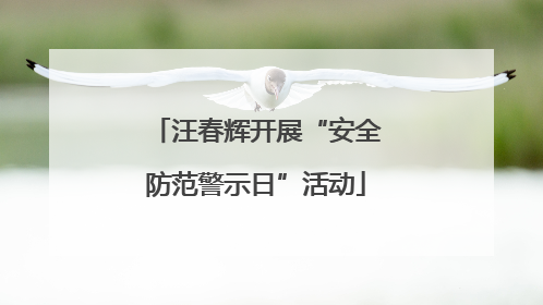 汪春辉开展“安全防范警示日”活动