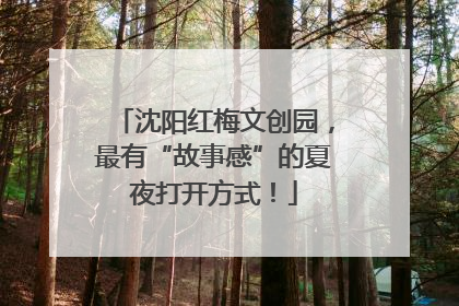 沈阳红梅文创园，最有“故事感”的夏夜打开方式！